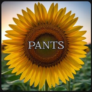 Pants